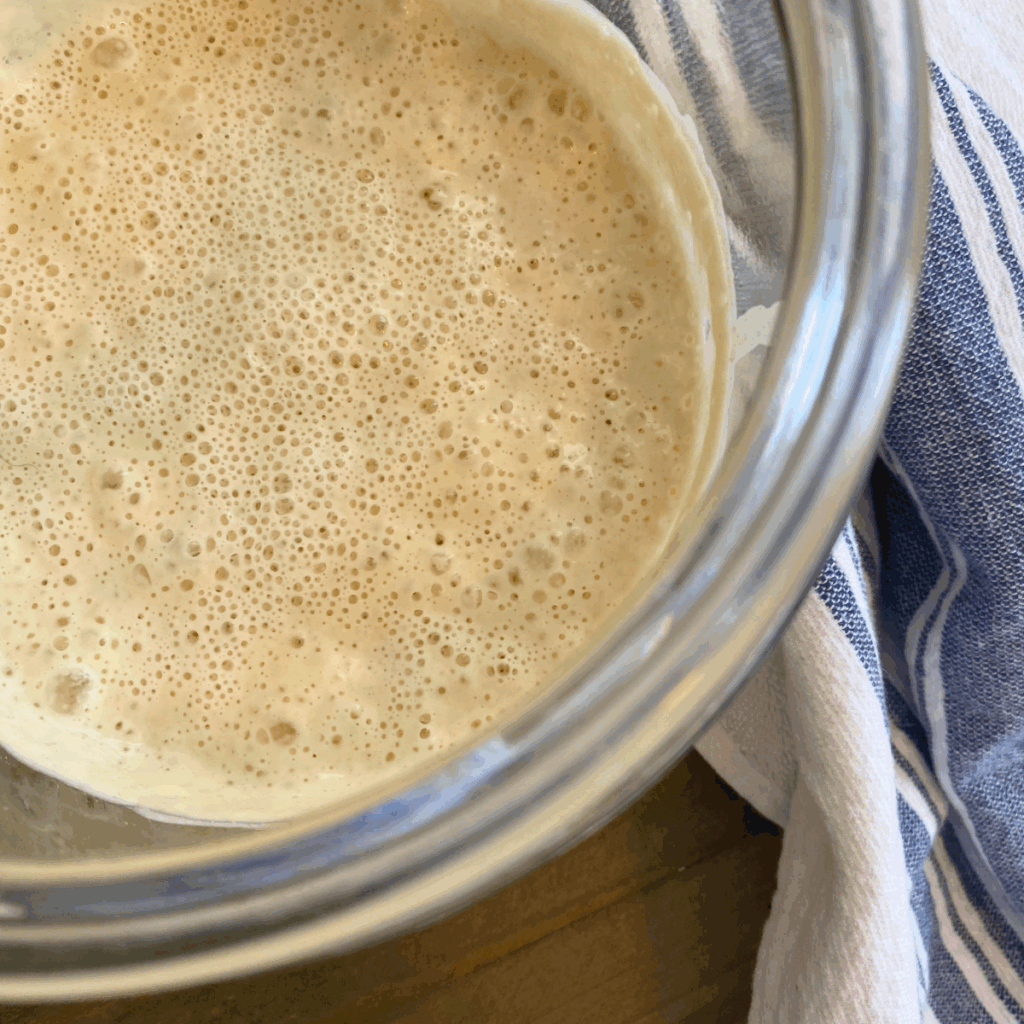 How to Make Sourdough Starter From Scratch Featured Image