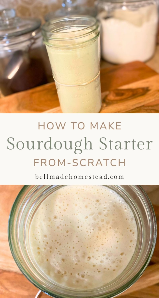 How to Make Sourdough Starter From Scratch Pin Image