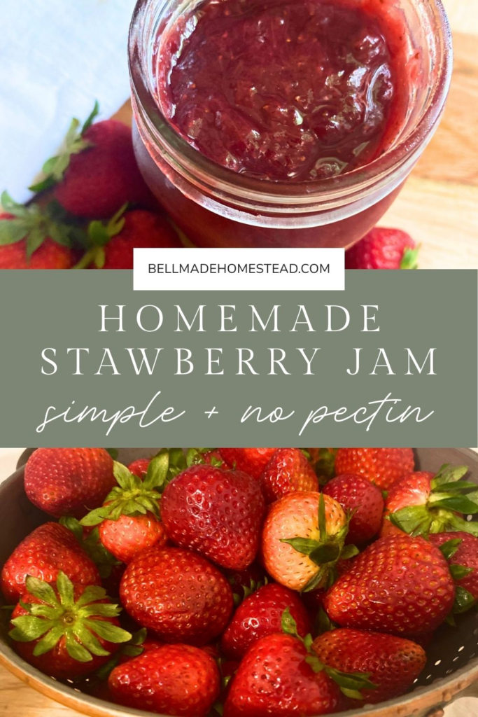 Strawberry Jam Pinterest Pin Image