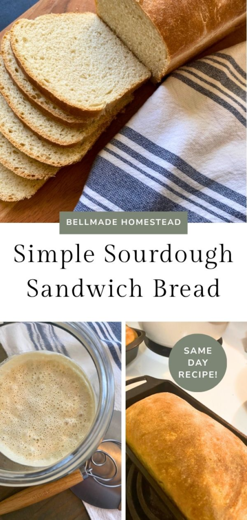Sourdough Bread Pin Image