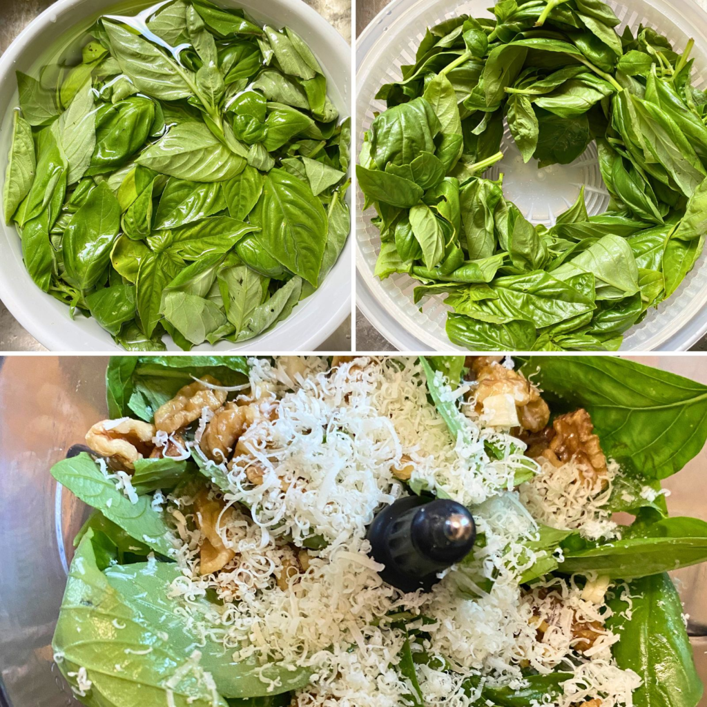 Basil with ingredients to make pesto in bowl and food processor