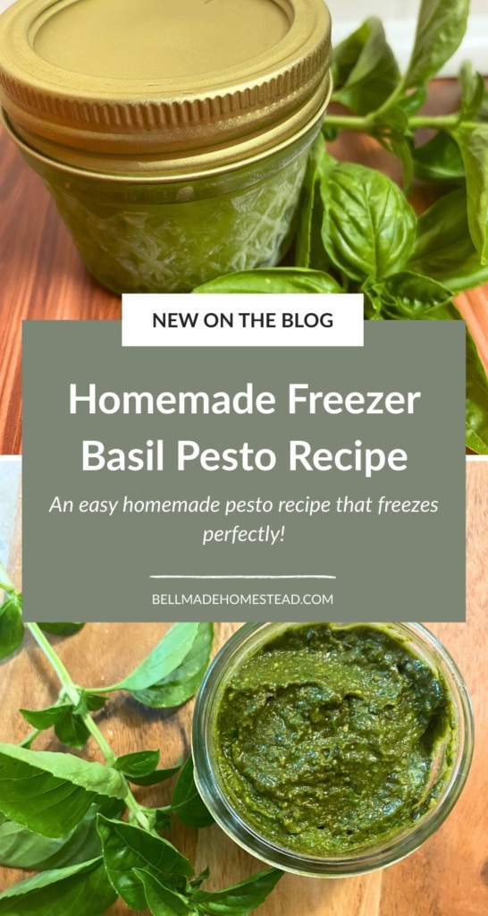 Opened and unopened small jars of pesto with basil leaves next to them