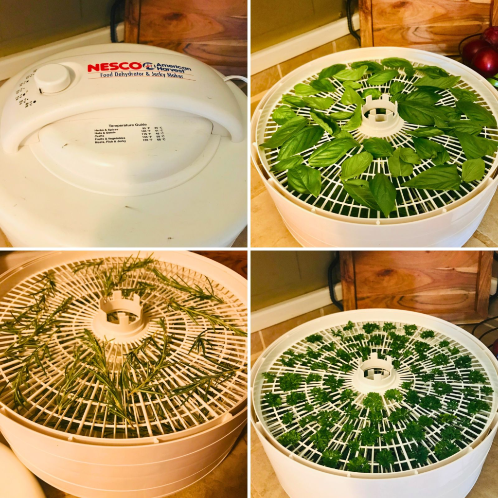 dehydrator with herbs