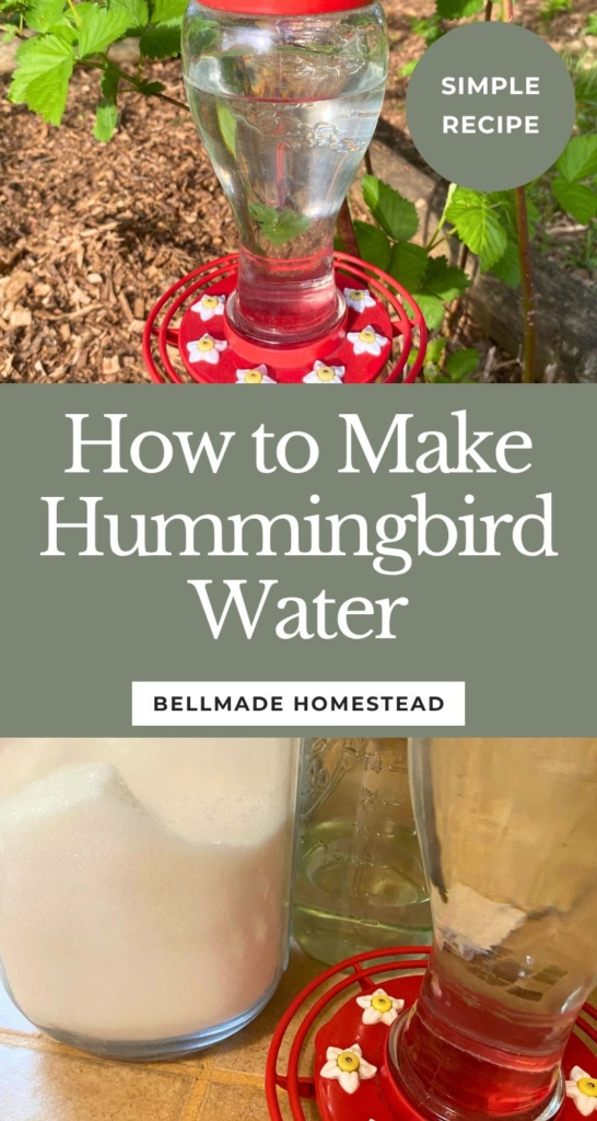 Red hummingbird feeder