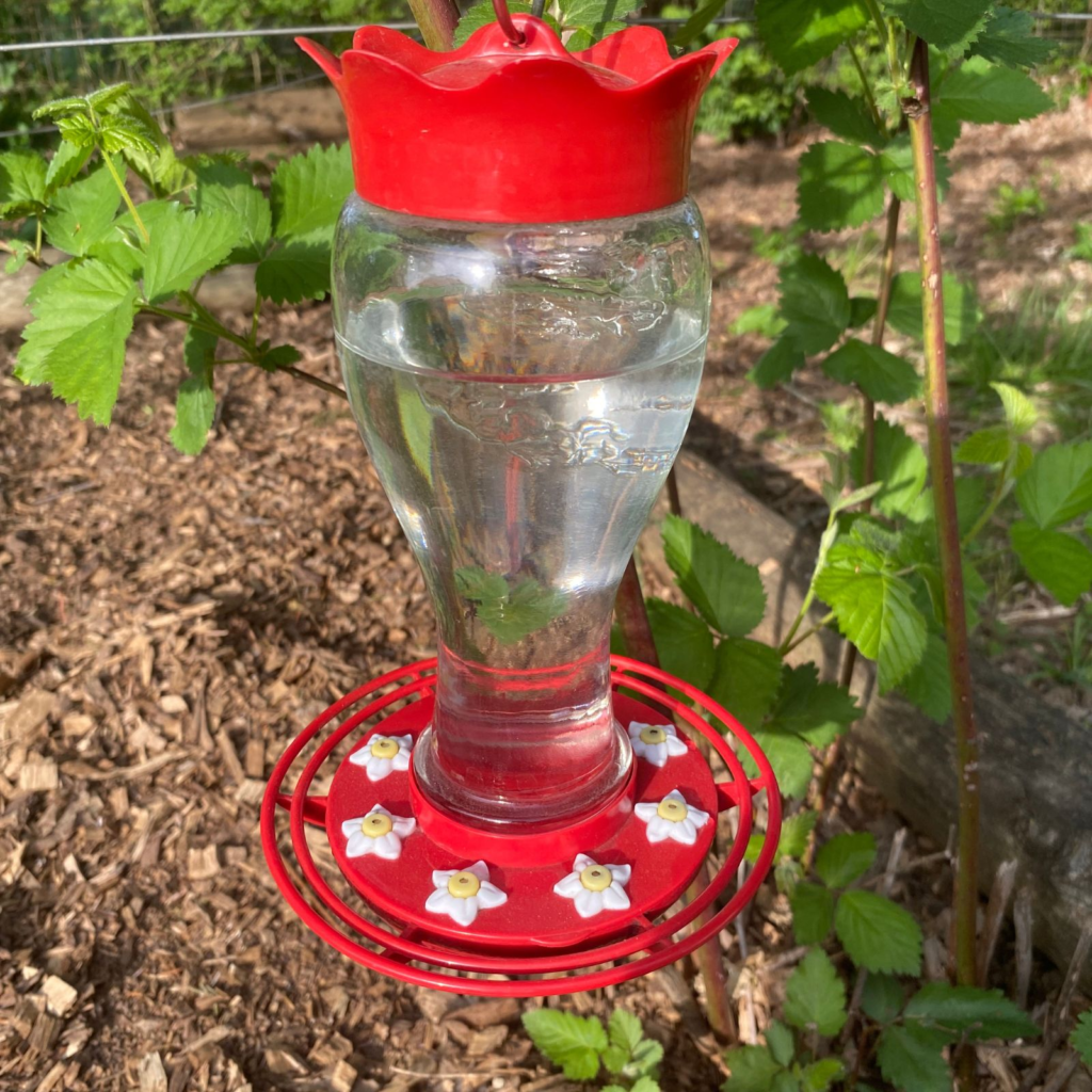 Red Hummingbird Feeder