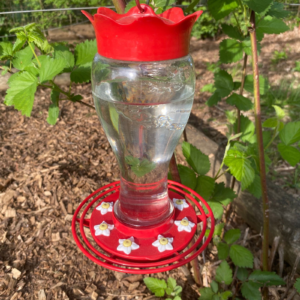 Red Hummingbird Feeder