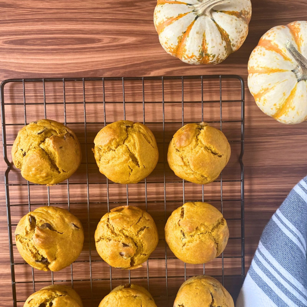 Sourdough pumpkin muffins on cooling rack next to small pumpkins
