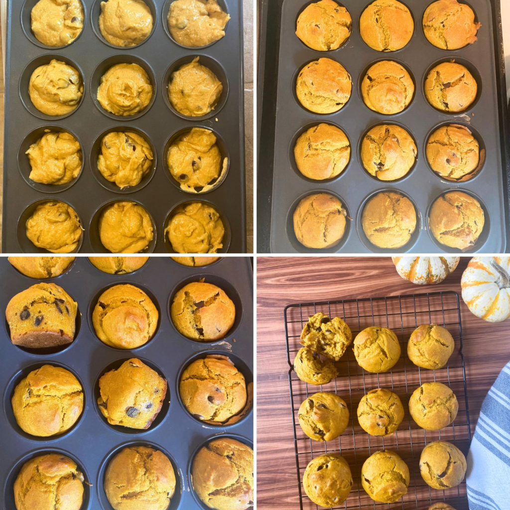 Sourdough pumpkin muffins in muffin pan and on a cooling rack next to small pumpkins